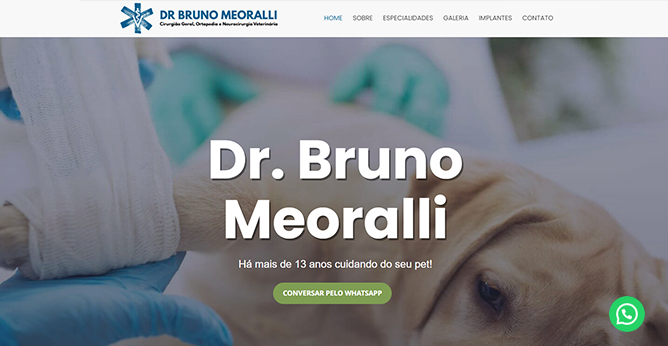 Dr. Bruno Orsi Meoralli - Médico Veterinário Dr. Bruno Orsi Meoralli - Médico Veterinário